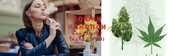 спиды Вязьма