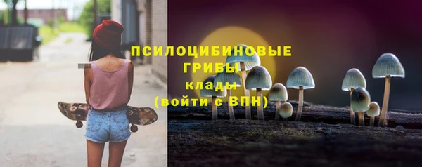 ПСИЛОЦИБИНОВЫЕ ГРИБЫ Волосово