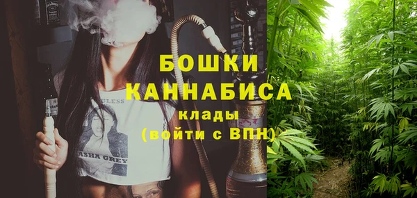 прущие грибы Тихорецк
