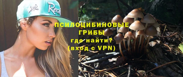 прущие грибы Тихорецк