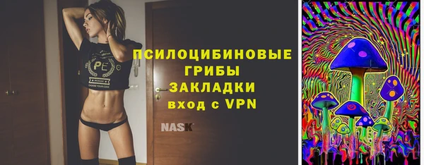 бошки Сясьстрой