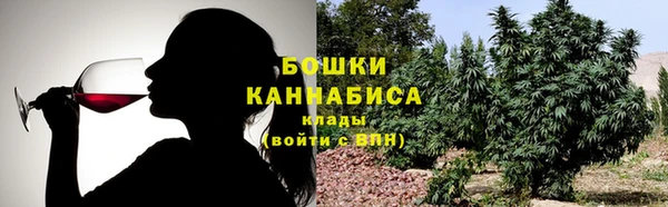 2c-b Вяземский