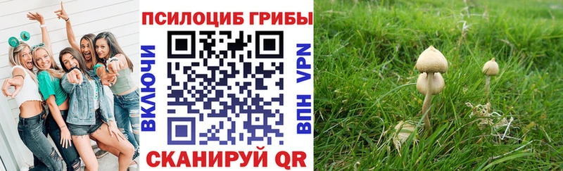 Псилоцибиновые грибы Psilocybe  хочу наркоту  нарко площадка какой сайт  Дальнереченск 